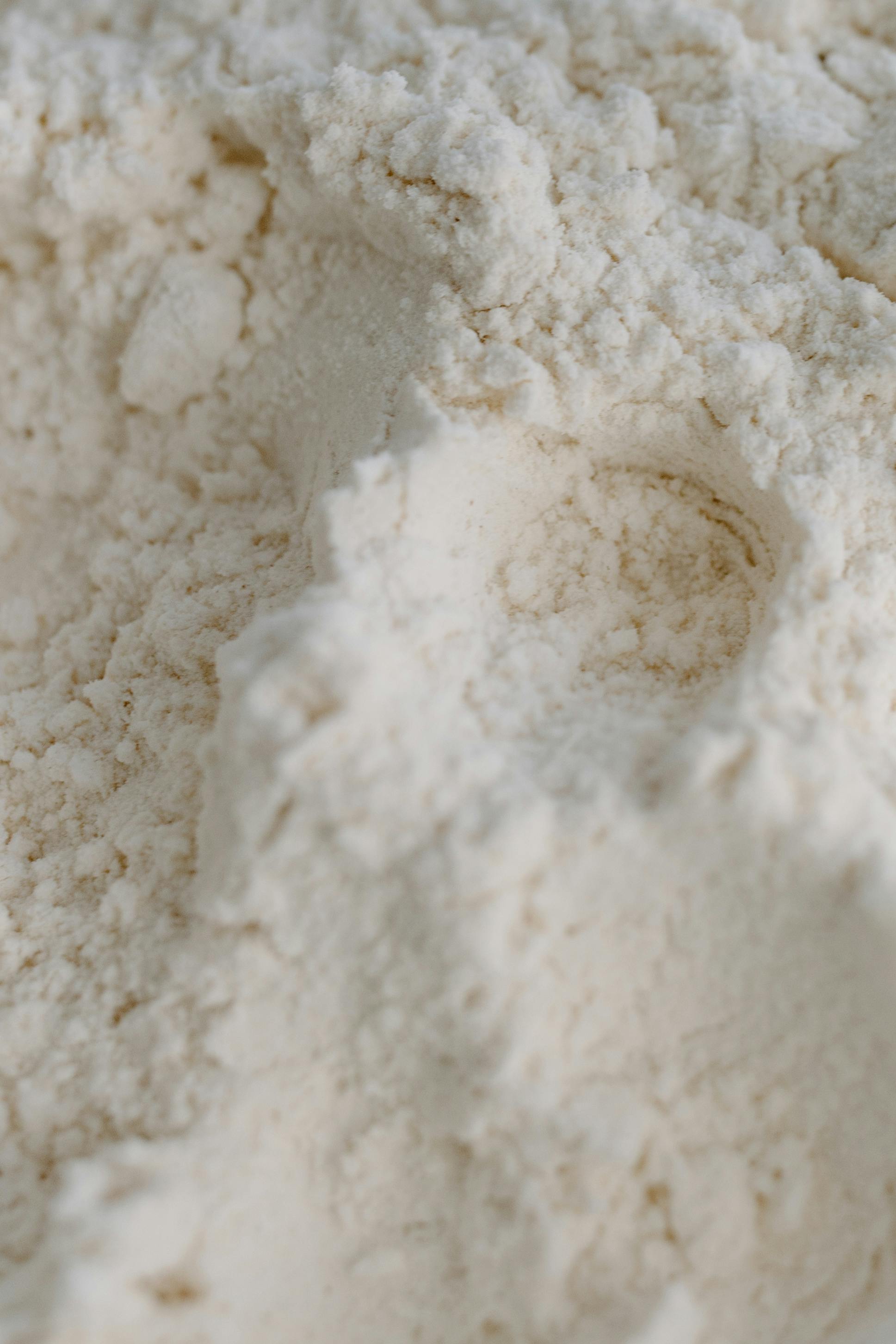 Defatted Nannochloropsis oceanica biomass — fine tray-dried powder