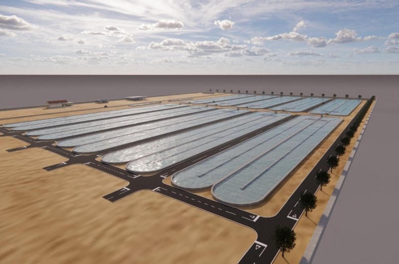 AlgaeCo industrial raceway pond facility