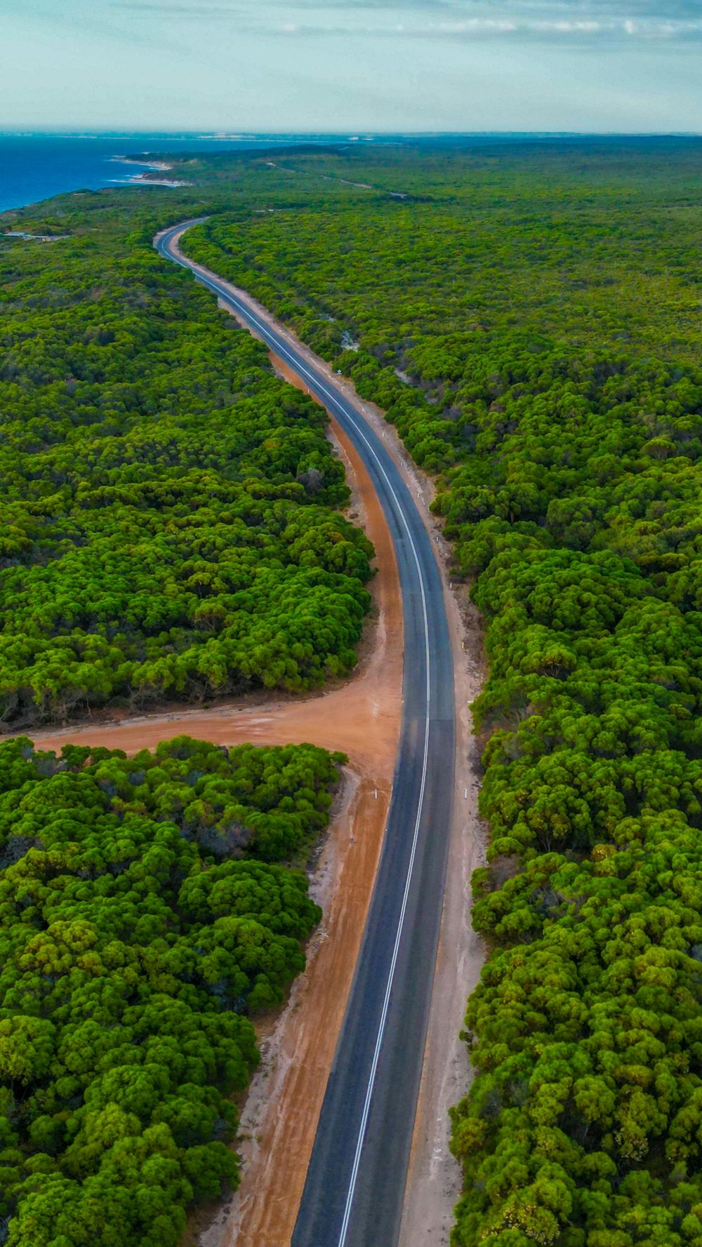 Aerial view of a coastal road winding through dense green vegetation with the ocean visible on the horizon