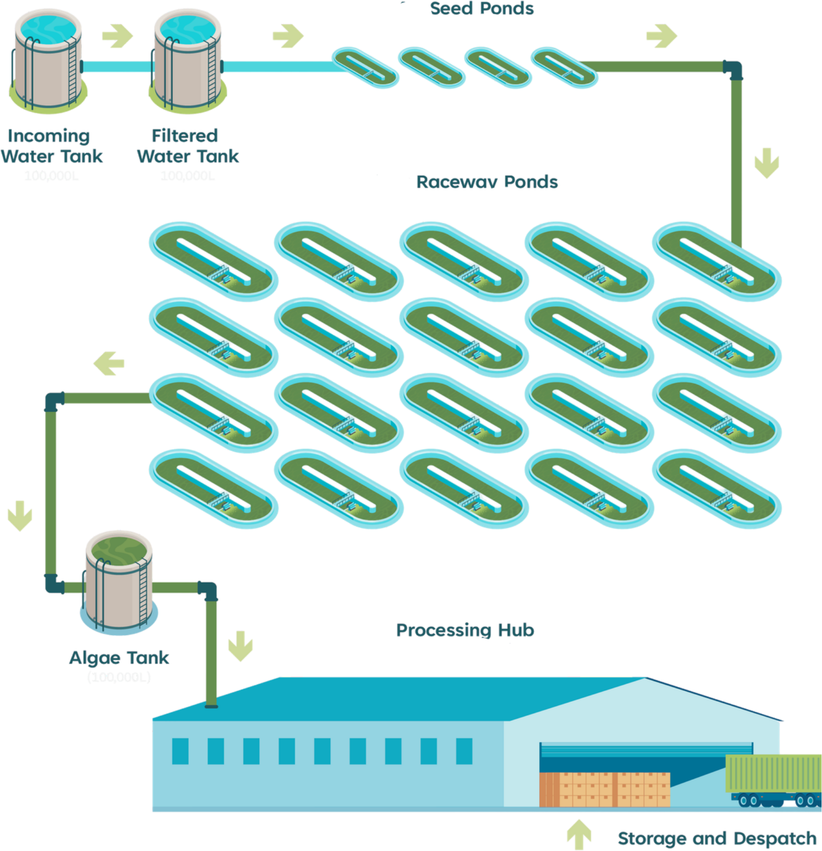 PMAC System diagram showing incoming and filtered water tanks feeding seed ponds, scaling out to raceway ponds, then to algae tank and processing hub with storage and despatch